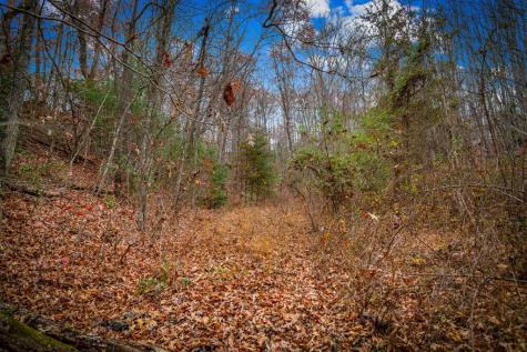 208 Bullen Gap Road Blue Ridge GA 30513