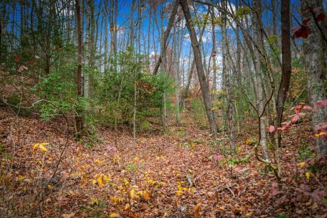 208 Bullen Gap Road Blue Ridge GA 30513