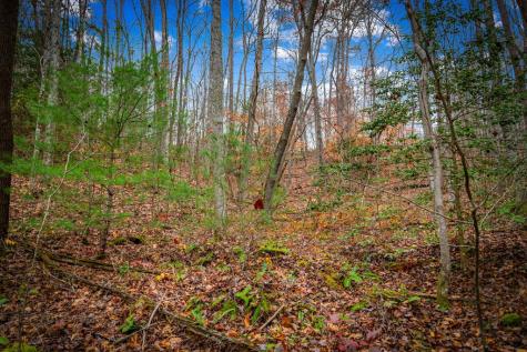 208 Bullen Gap Road Blue Ridge GA 30513