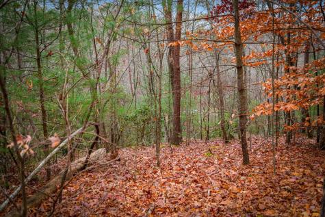 208 Bullen Gap Road Blue Ridge GA 30513