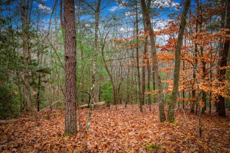208 Bullen Gap Road Blue Ridge GA 30513