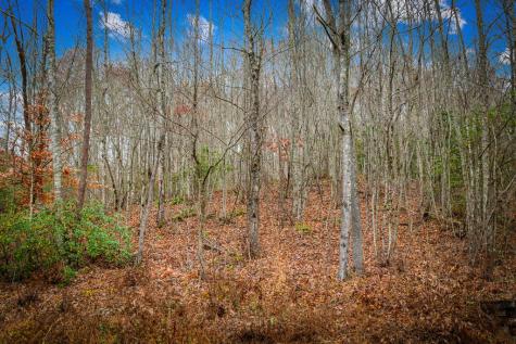 208 Bullen Gap Road Blue Ridge GA 30513