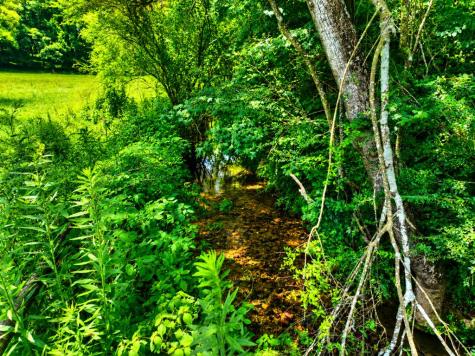 2086 Burnt Mountain Road Ellijay GA 30536