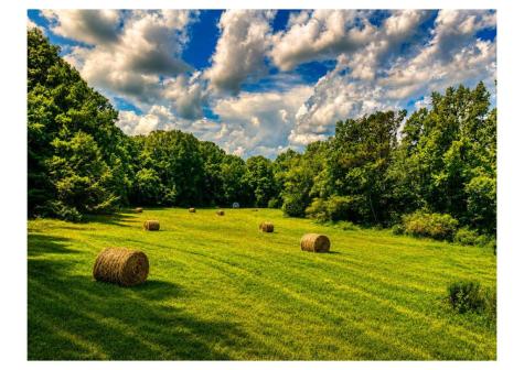 2086 Burnt Mountain Road Ellijay GA 30536