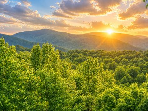 2086 Burnt Mountain Road Ellijay GA 30536