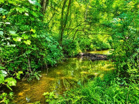 2086 Burnt Mountain Road Ellijay GA 30536