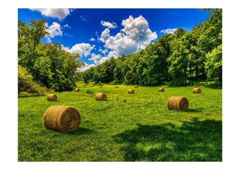 2086 Burnt Mountain Road Ellijay GA 30536