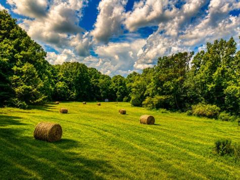 2086 Burnt Mountain Road Ellijay GA 30536