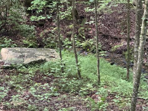 121 Surrey Trail Murphy NC 28906