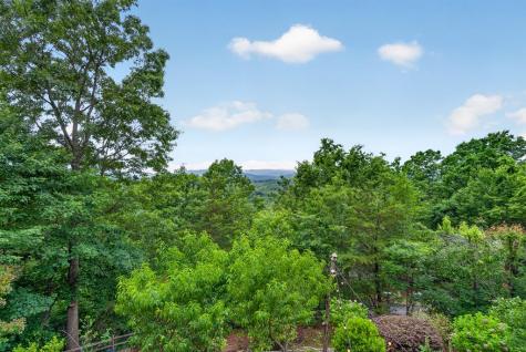 40 Foxfire Lane Blue Ridge GA 30513