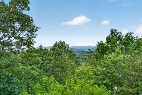 40 Foxfire Lane Blue Ridge GA 30513