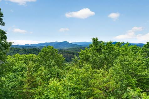 40 Foxfire Lane Blue Ridge GA 30513