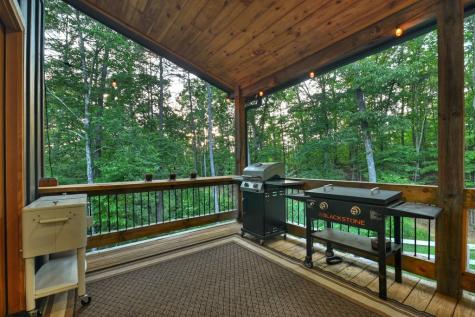 270 Wild Oaks Way Ellijay GA 30540