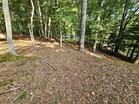 194 Leonard Lane Murphy NC 28906