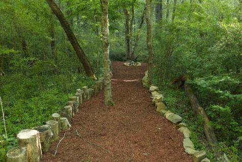 138 Rhondas Way Ellijay GA 30540