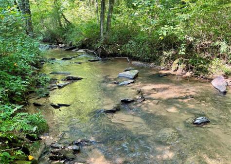 138 Rhondas Way Ellijay GA 30540