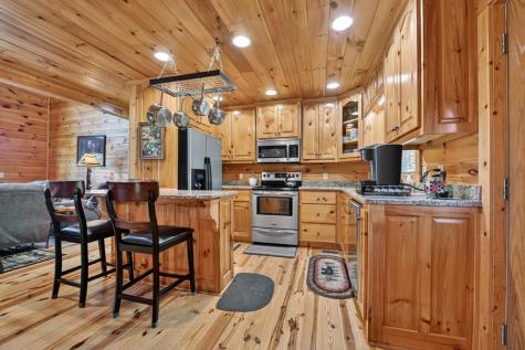146 Neaptide Drive Ellijay GA 30540