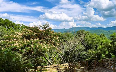 505 Hyatt Creek Road Marble NC 28905