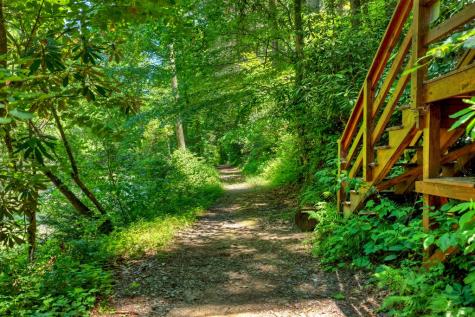 510 Gallery Court Ellijay GA 30540