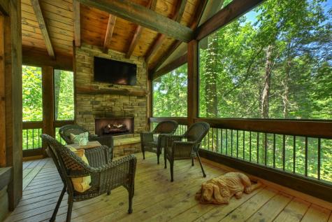510 Gallery Court Ellijay GA 30540