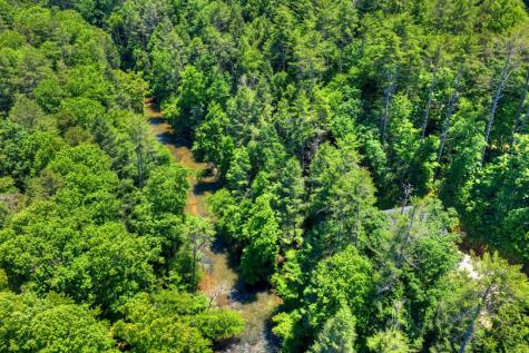 510 Gallery Court Ellijay GA 30540