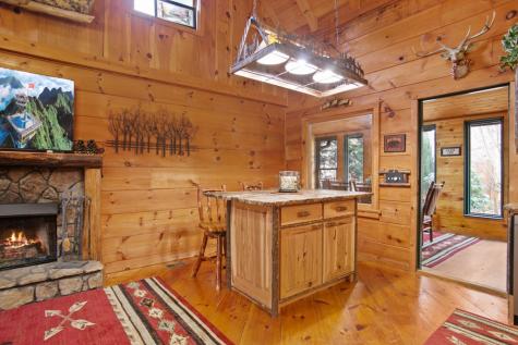 143 Kaely Drive Mineral Bluff GA 30559