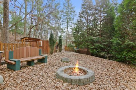 143 Kaely Drive Mineral Bluff GA 30559