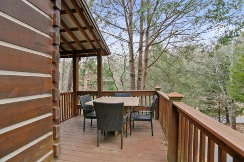 143 Kaely Drive Mineral Bluff GA 30559