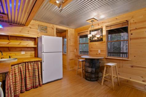 143 Kaely Drive Mineral Bluff GA 30559