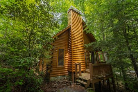 14 Finch Lane Cherry Log GA 30522