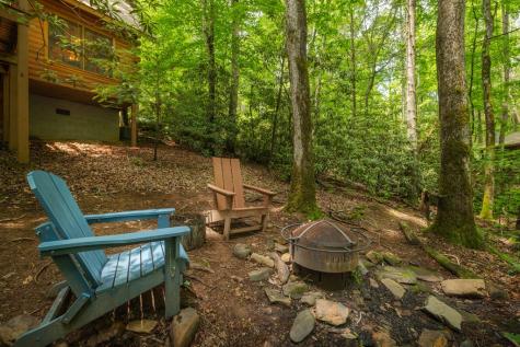 14 Finch Lane Cherry Log GA 30522