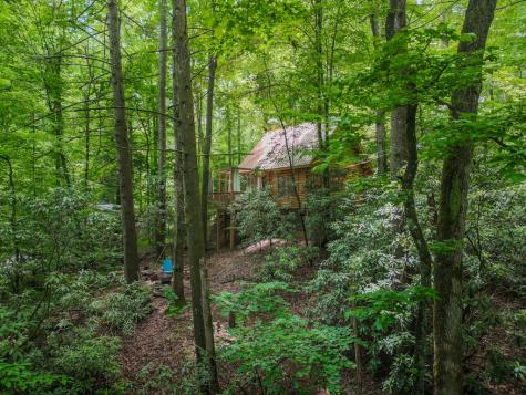 14 Finch Lane Cherry Log GA 30522