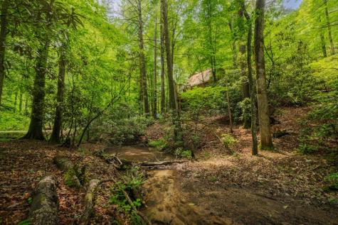 14 Finch Lane Cherry Log GA 30522