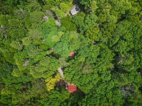 14 Finch Lane Cherry Log GA 30522