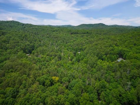 14 Finch Lane Cherry Log GA 30522