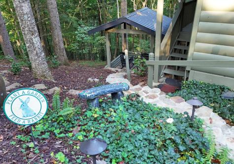 344 Buck Ridge Road Suches GA 30572