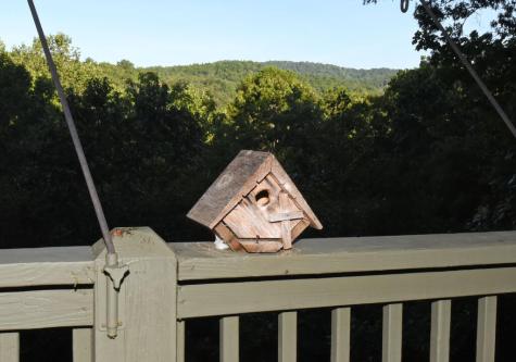 344 Buck Ridge Road Suches GA 30572