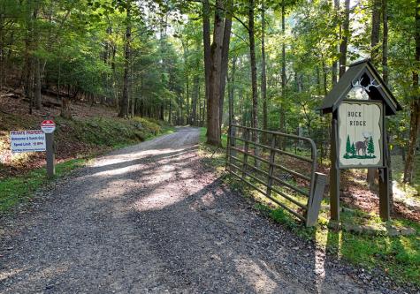 344 Buck Ridge Road Suches GA 30572