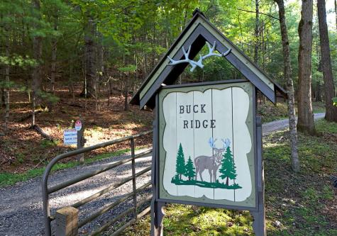 344 Buck Ridge Road Suches GA 30572