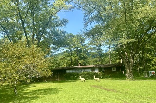 7324 Highway 294 Murphy NC 28906