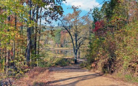 220 Amelia Drive Ellijay GA 30540