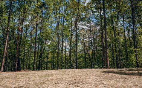 Alamo Trail Morganton GA 30560