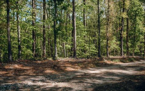 Alamo Trail Morganton GA 30560