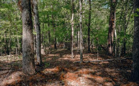 Alamo Trail Morganton GA 30560
