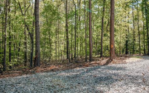 Alamo Trail Morganton GA 30560
