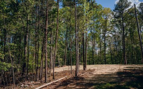 Alamo Trail Morganton GA 30560