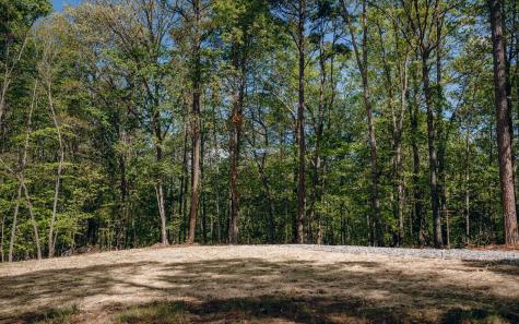 Alamo Trail Morganton GA 30560