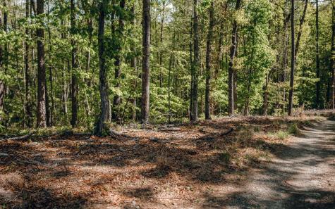 Alamo Trail Morganton GA 30560