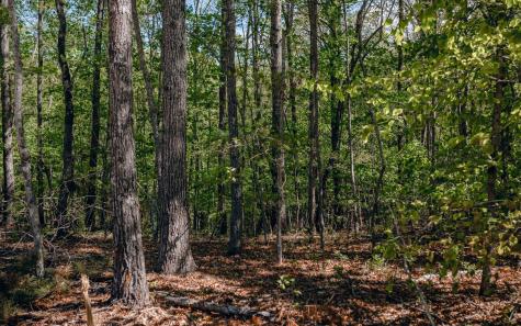Alamo Trail Morganton GA 30560