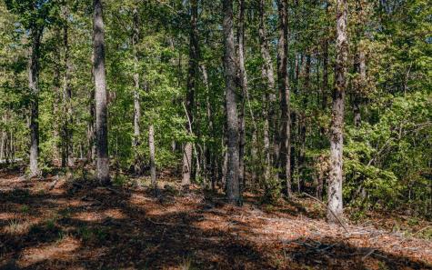 Alamo Trail Morganton GA 30560